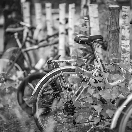 Villa Wielodom - Kryjowka Na Wsi *