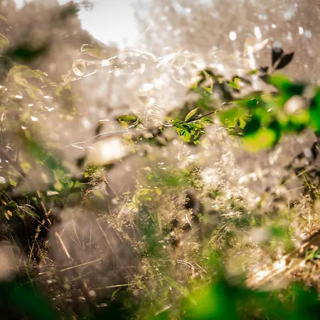 Wielodom - Kryjowka Na Wsi Villa *