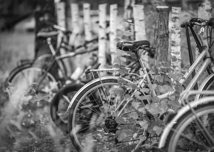 Willa Wielodom - Kryjówka Na Wsi *