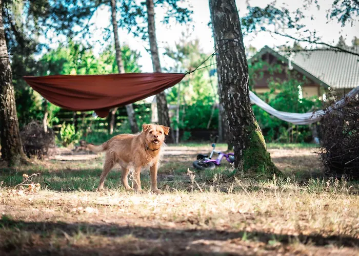 Willa Wielodom - Kryjówka Na Wsi