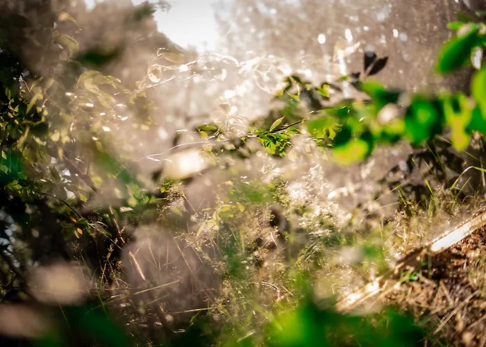 Wielodom - Kryjówka Na Wsi Willa *