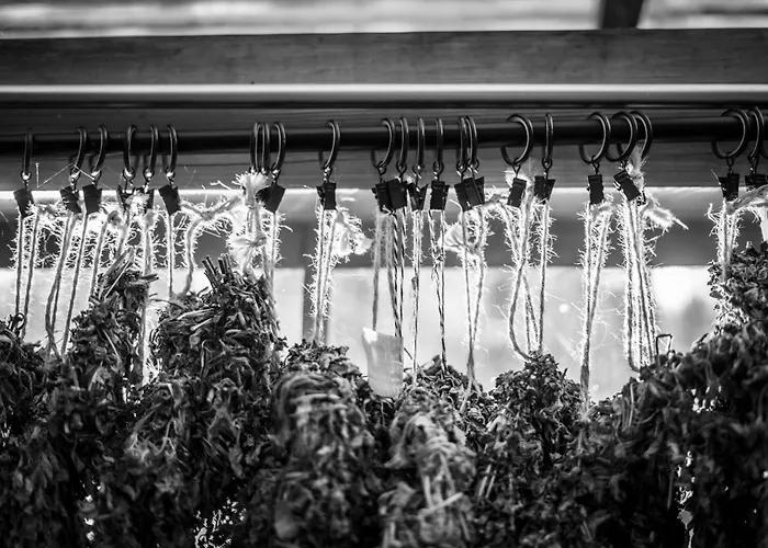 Wielodom - Kryjówka Na Wsi Willa *